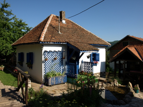 P6085861.JPG