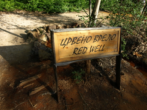P6085920.JPG