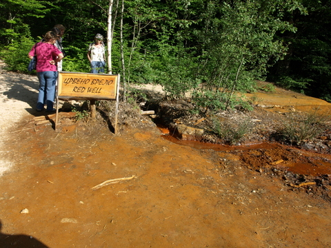 P6085923.JPG