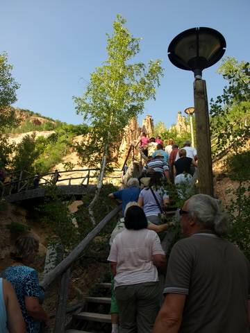 P6085931.JPG