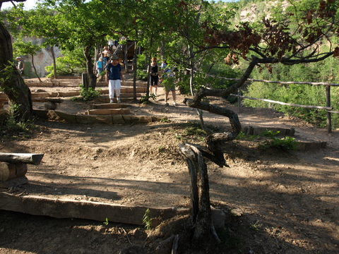 P6085950.JPG