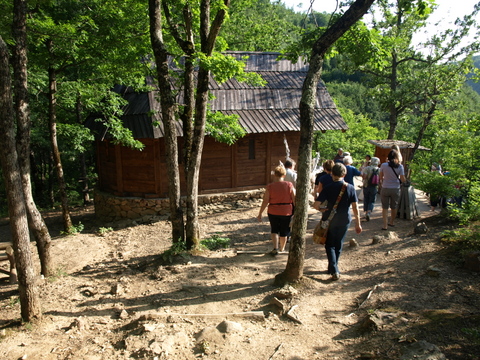 P6085952.JPG