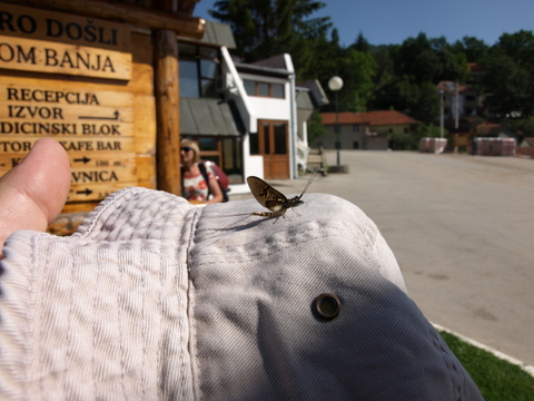 P6095990.JPG