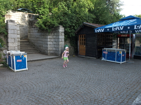 P6096191.JPG