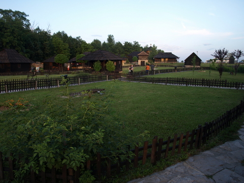 P6096203.JPG