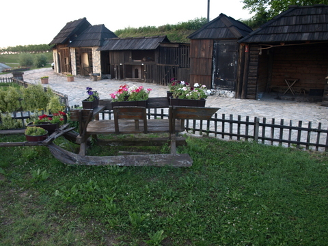 P6096211.JPG