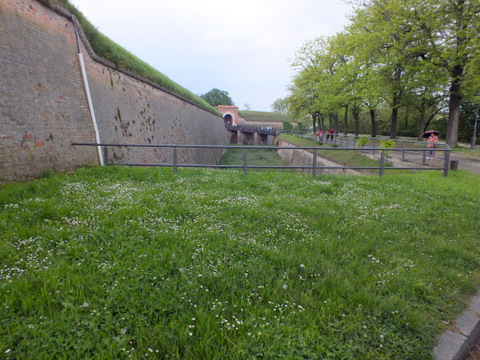 DSCF7078.JPG
