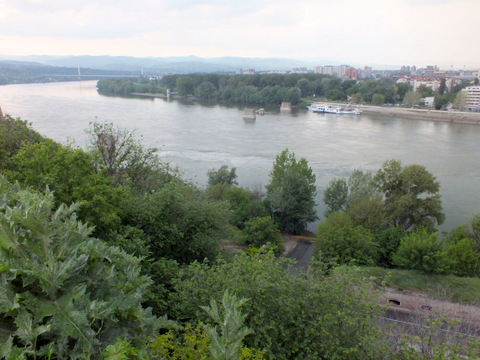 DSCF7106.JPG