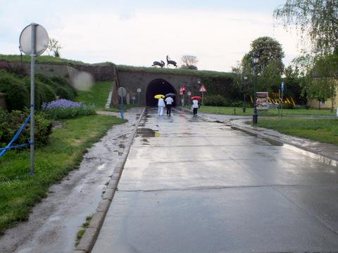 DSCF7118.JPG