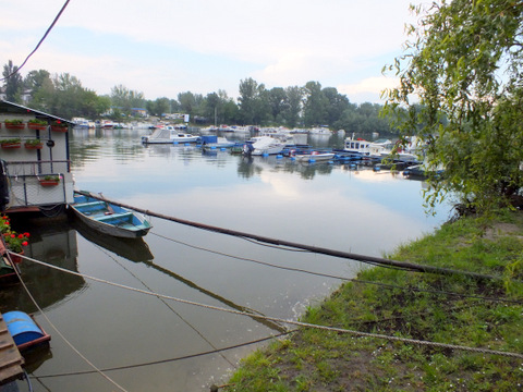 DSCF7125.JPG