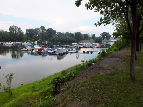 DSCF7133.JPG