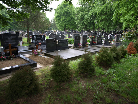 P4298858.JPG