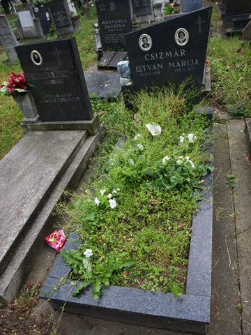 P4298860.JPG
