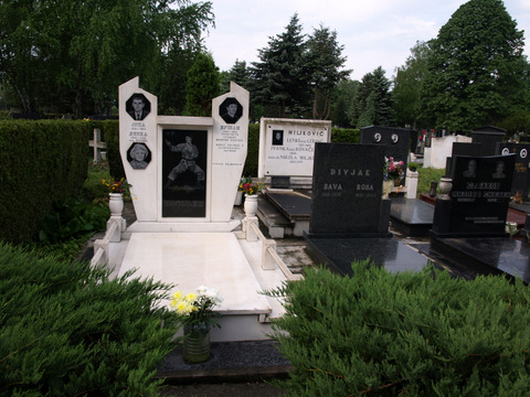 P4298868.JPG