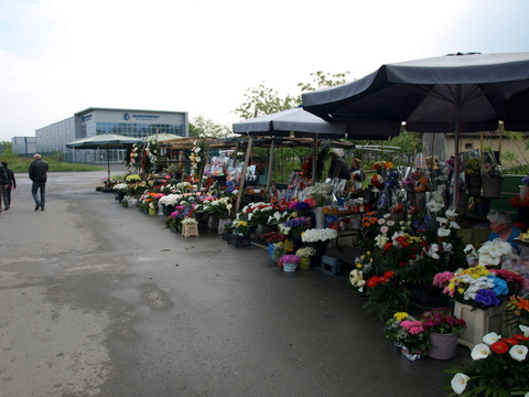 P4298872.JPG