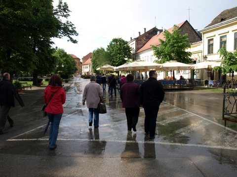 P4298879.JPG