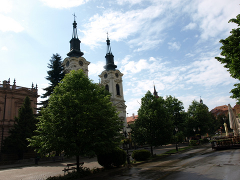 P4298882.JPG