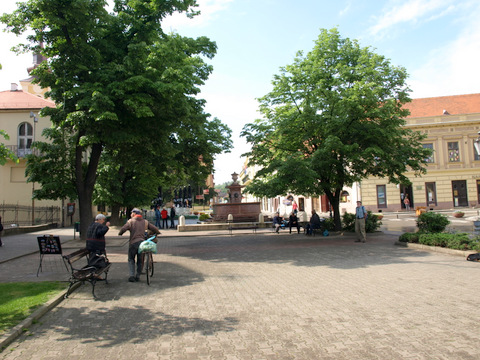 P4298900.JPG