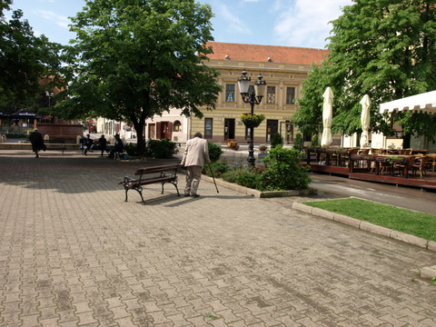 P4298908.JPG