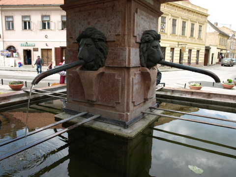 P4298922.JPG