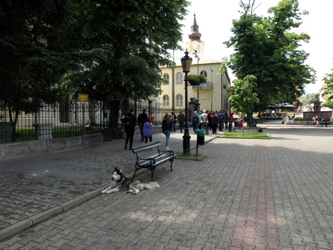 P4298985.JPG