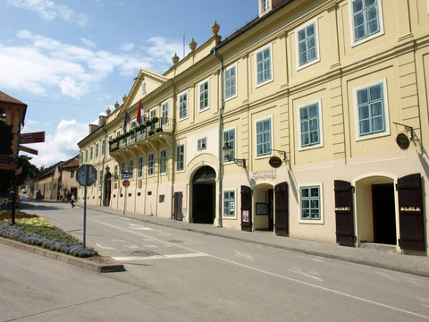 P4299019.JPG