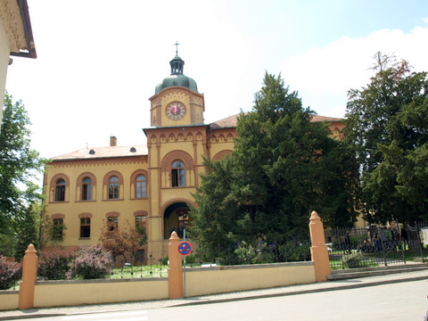 P4299062.JPG