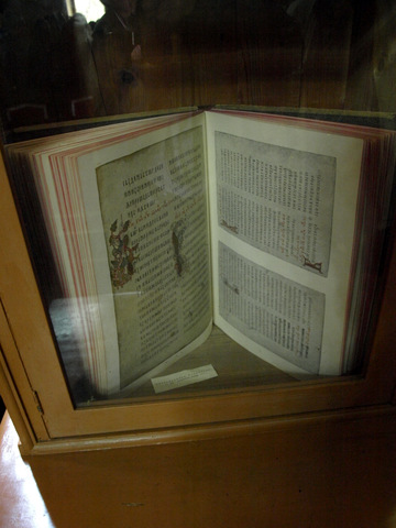P4299085.JPG