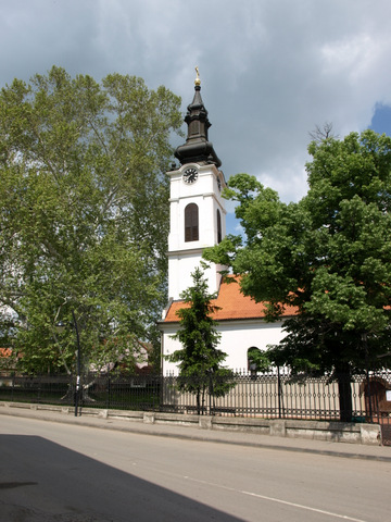 P4299113.JPG