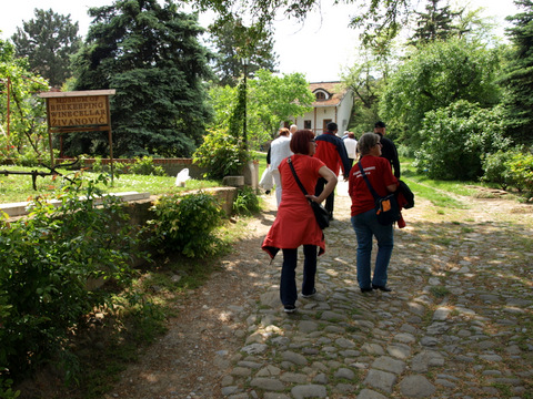 P4299124.JPG
