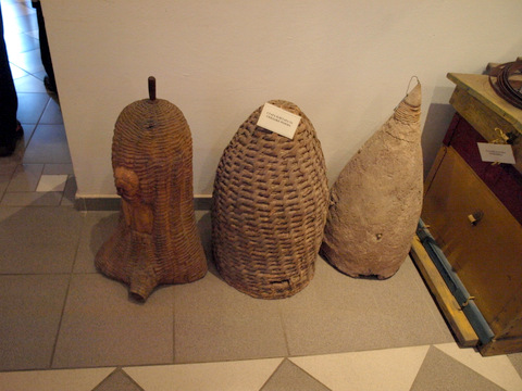 P4299130.JPG