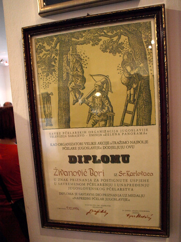 P4299132.JPG