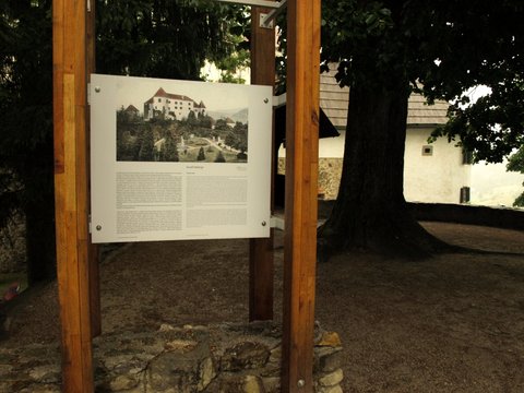 P7033239.JPG