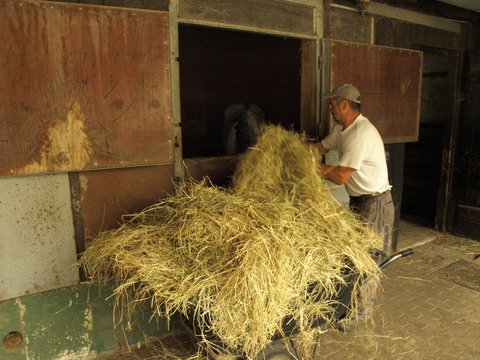 P7033276.JPG