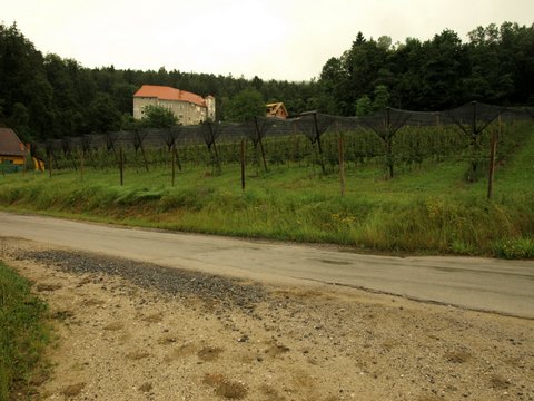 P7033304.JPG