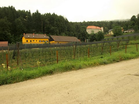 P7033306.JPG