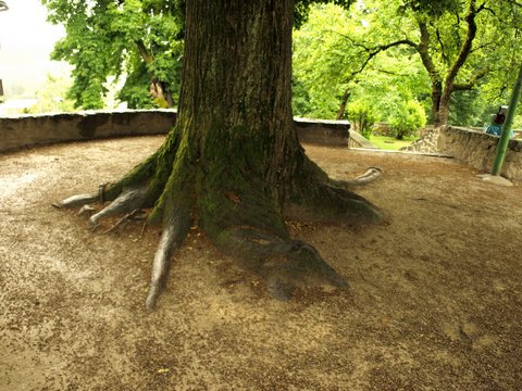 P7033364.JPG