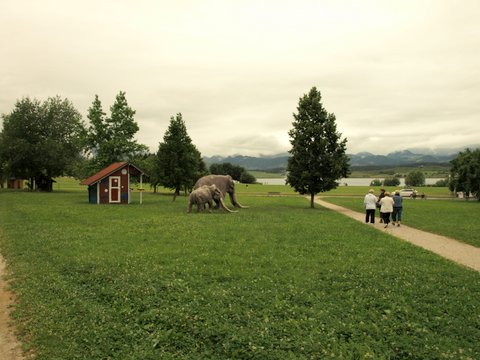 P7033384.JPG