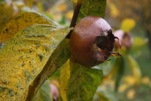 image153.jpg