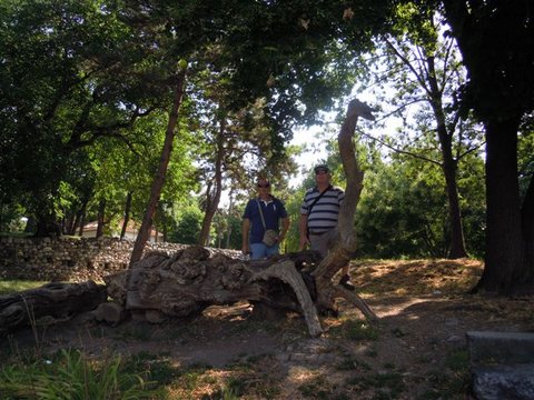 DSCN4567.JPG