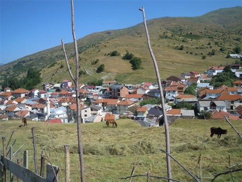 DSCN4602.JPG