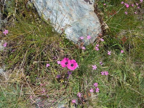 DSCN4618.JPG