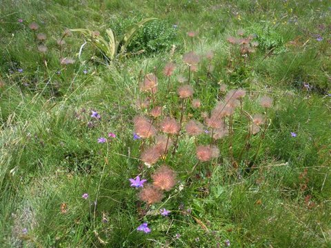 DSCN4619.JPG