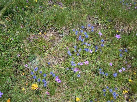 DSCN4631.JPG