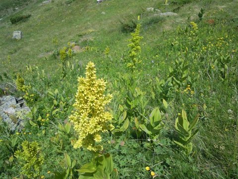 DSCN4632.JPG