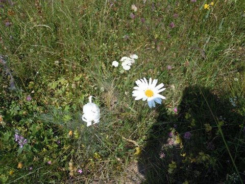 DSCN4636.JPG