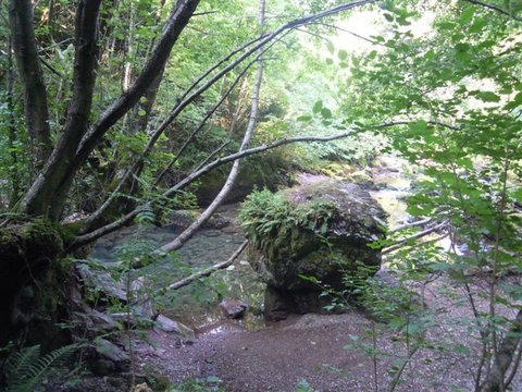 DSCN4731.JPG