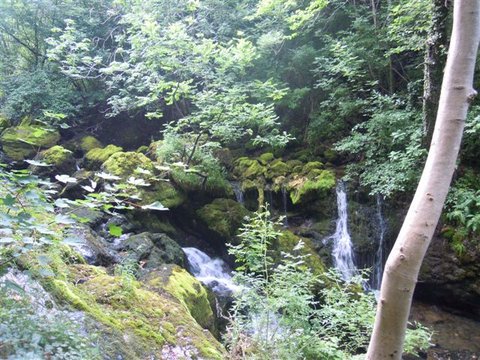 DSCN4733.JPG