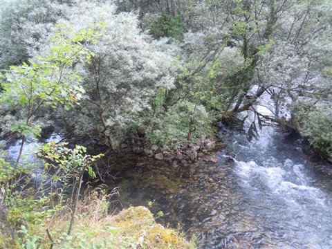 DSCN4741.JPG