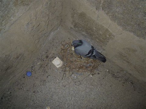 DSCN4765.JPG